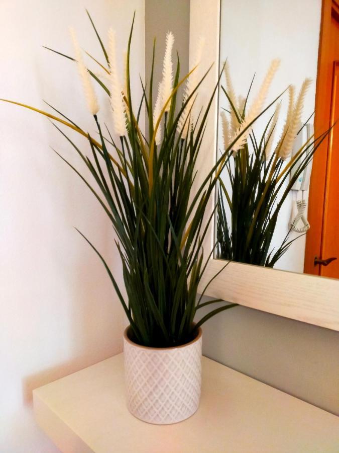 Apartament Geminis Wifi Parking Free Tossa de Mar Esterno foto